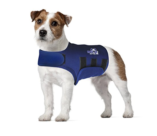 dog cooling t shirt