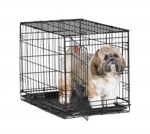 5 Best Folding Dog Crate – Create safe and comfortable environment for you dog