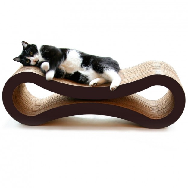 5 Best Cat Scratcher Lounge For your cat to play, nap and scratch