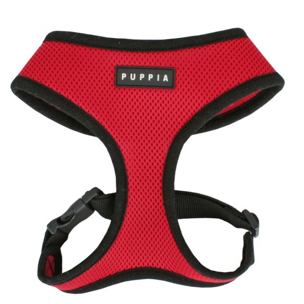 5 Best Dog Harness Now you can enjoy the freedom of stressfree walks