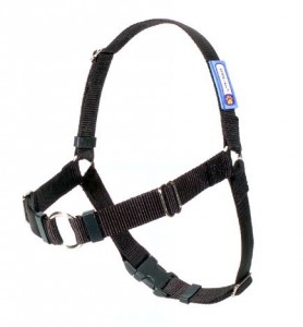 5 Best No Pull Dog Harness – Make your walks more enjoyable