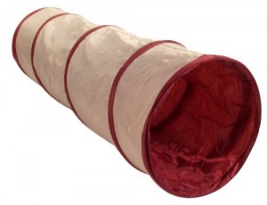 5 Best Cat Tunnel Toy – Enrich your cat’s live