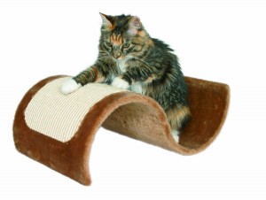 5 Best Cat Scratching Wave – Save your furniture while allowing your cats to scratch