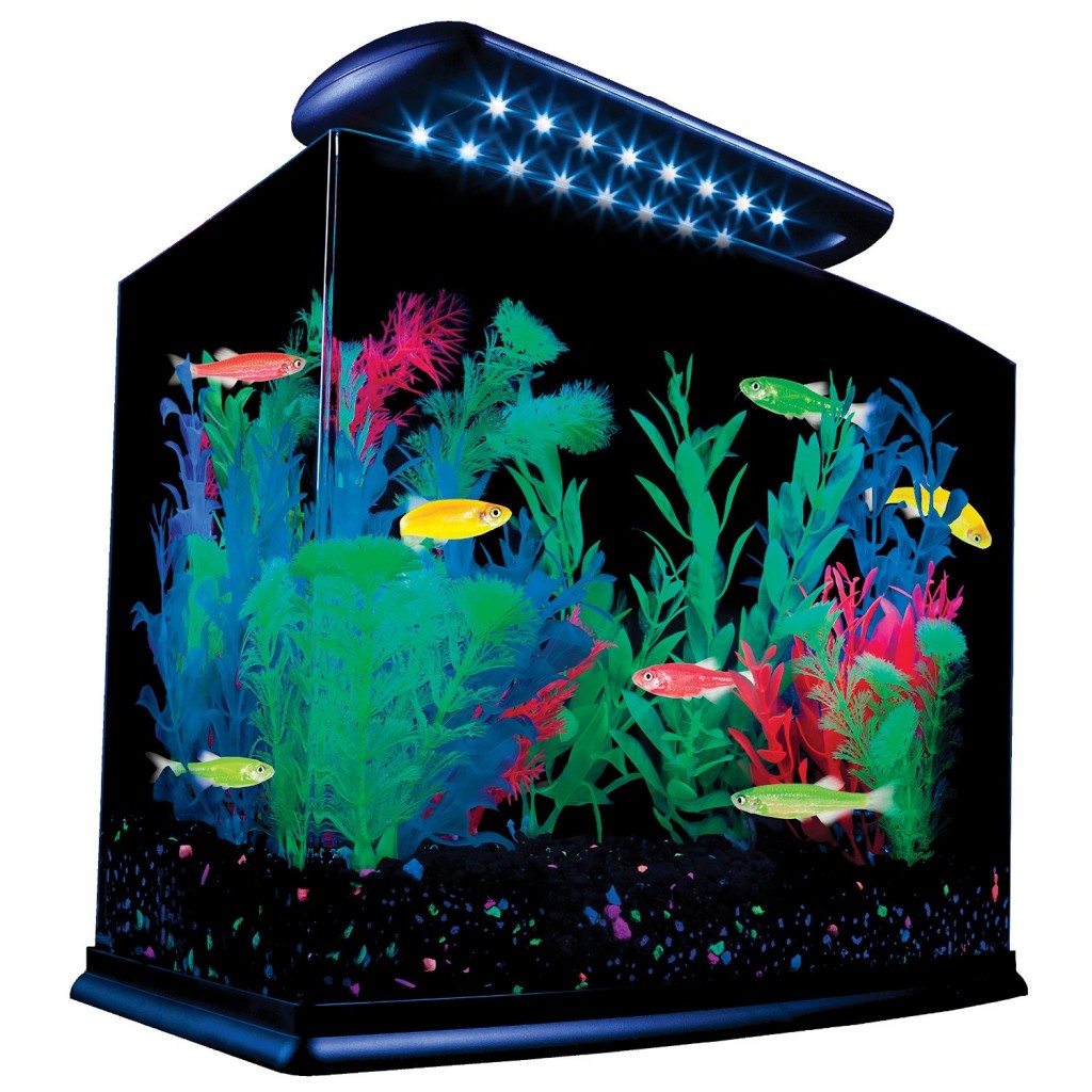 5 Best Tetra Aquarium - Attractive, sturdy and functional - Tool Box