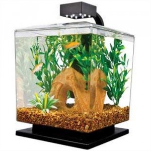 Tetra Water Wonders Aquarium Kit