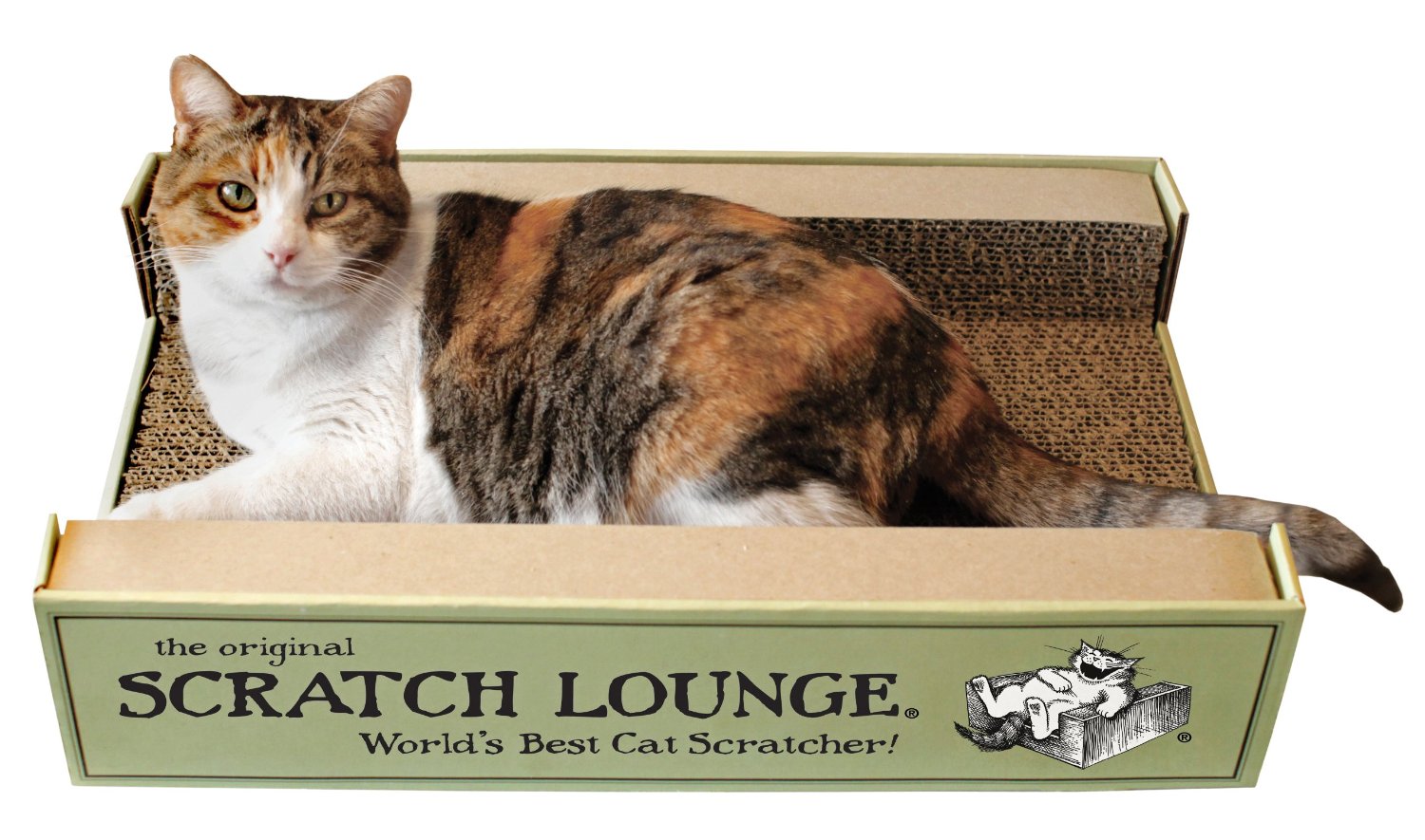 5 Best Cat Scratcher Lounge For your cat to play, nap and scratch