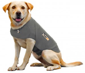 8 Best Dog Anxiety Shirt – Easy and efficient solution to calm and sooth away anxiety
