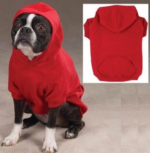 5 Best Dog Hoodie – Keep your little furry friend warm and cozy