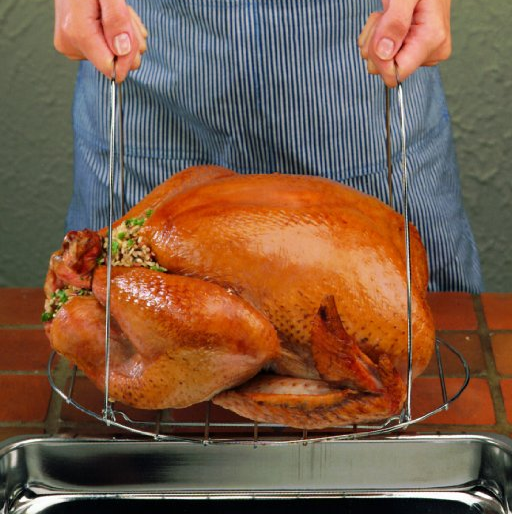 Best Turkey Lifter