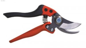 Bypass Pruner - A must have to make your pruning tasks easier
