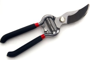 CARBON STEEL PRUNING SHEAR