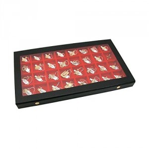 Earring Display Case - Keep your earring in a good order