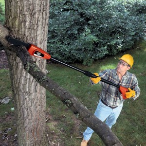 Electric Pole Saw - A well manicured garden is in your reach