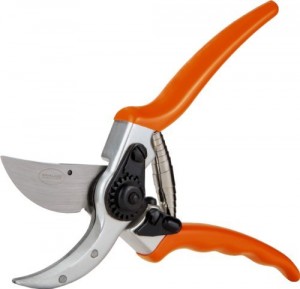 Pruning Shears