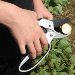 Pruning Shears - Enjoy easier pruning experience