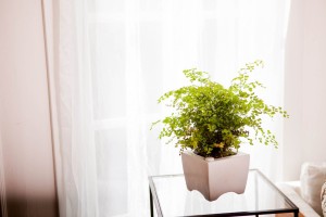 Self Watering Planter - Take the stress out of caring for your plants