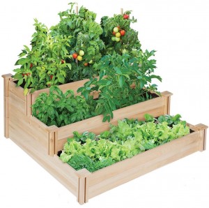 5 Best Raised Garden Bed – Get great harvests this year