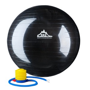 2000lbs Static Strength Exercise Stability Ball