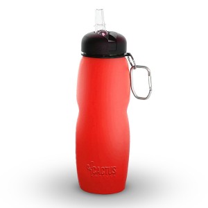 Cactus Collapsible Water Bottle