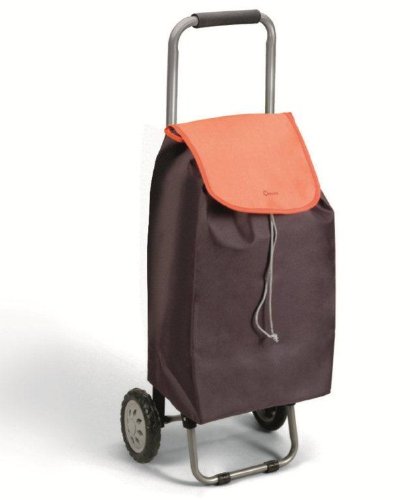 Wireworld Daisy Shopping Cart, Brown