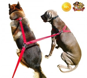 8 Foot Long Leash Gives Your Dogs
