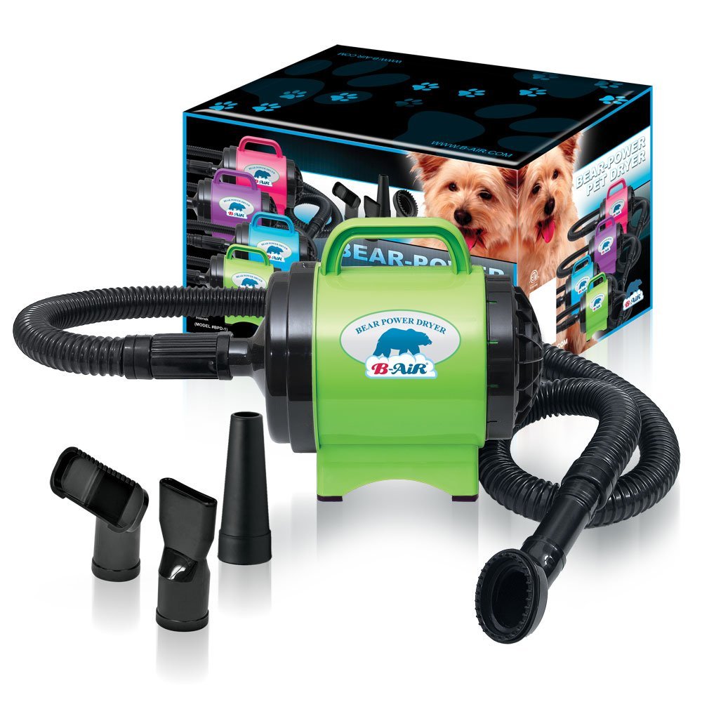 5 Best Pet Dryer Save time while keeping your pet beautiful Tool Box