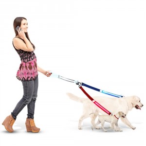 Double Dog Leash