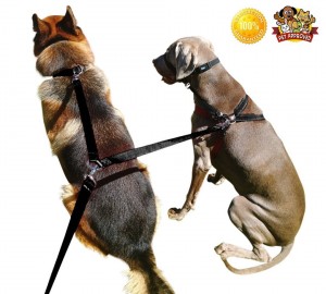 Double Dog Leash - 8ft Dual Dogs Lead Black