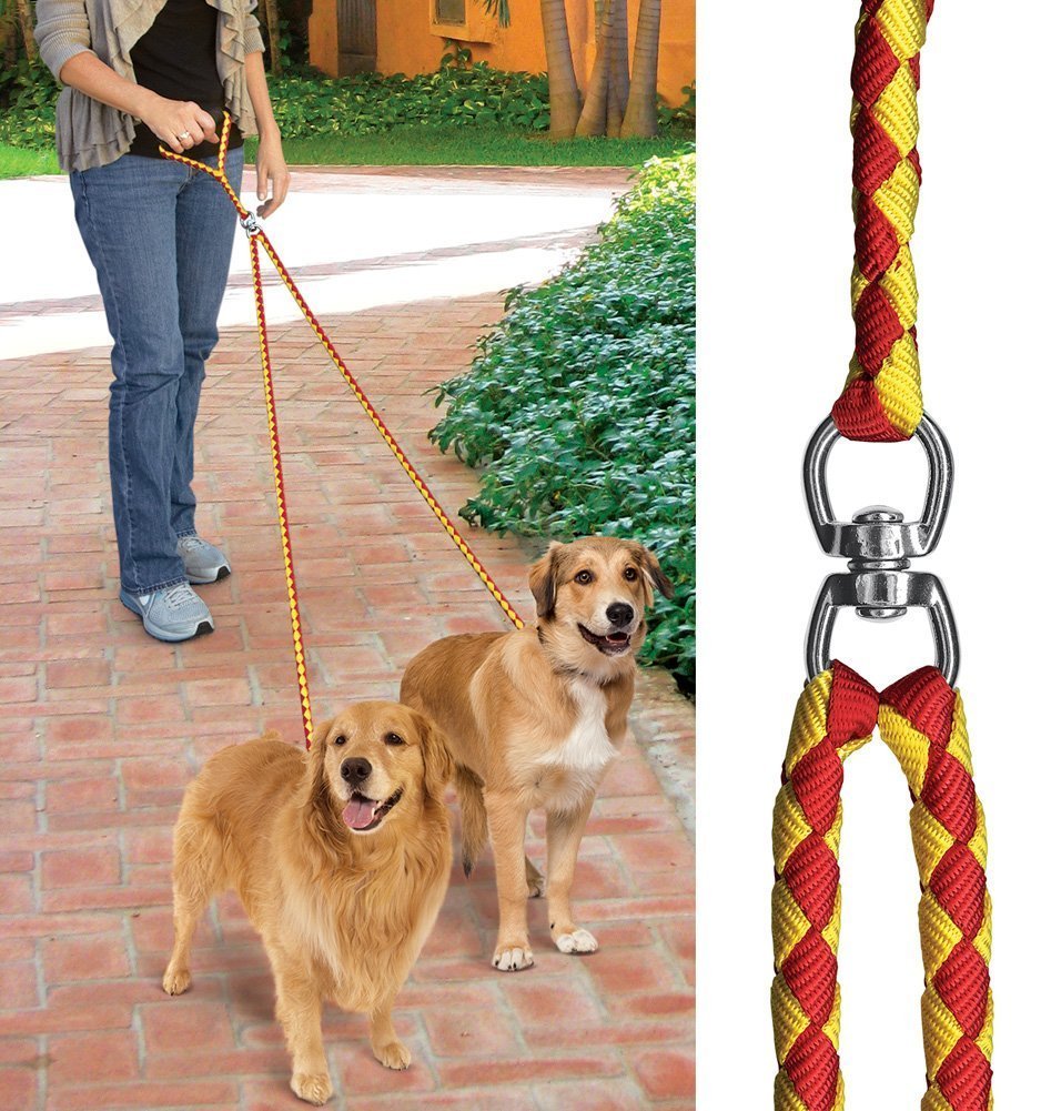 double leash for two dogs