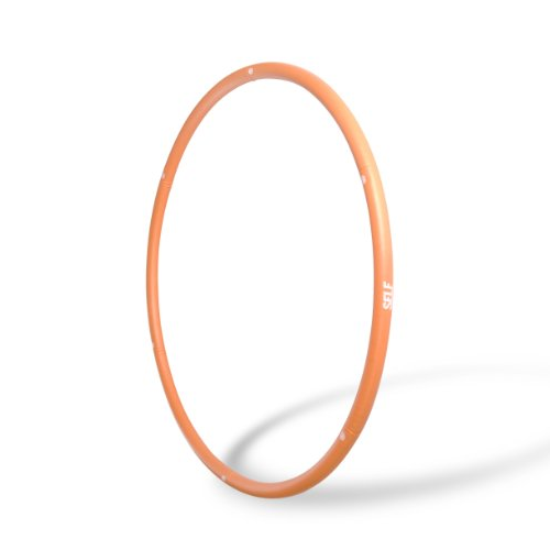 SELF Weighted Fitness Hoop