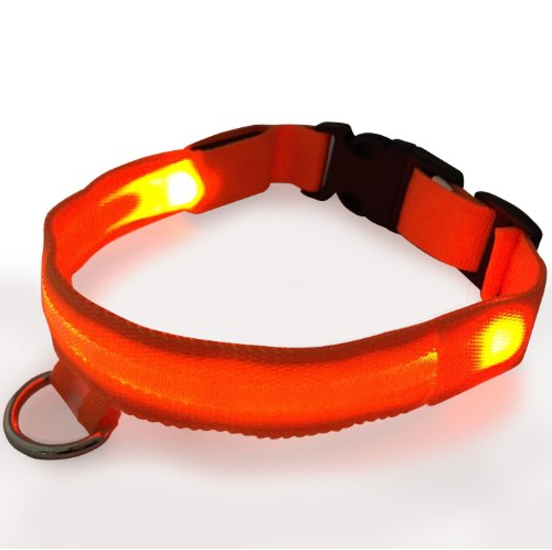 Flashing Dog Collar