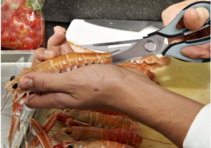 Seafood Shears - Eating seafood is much easier now