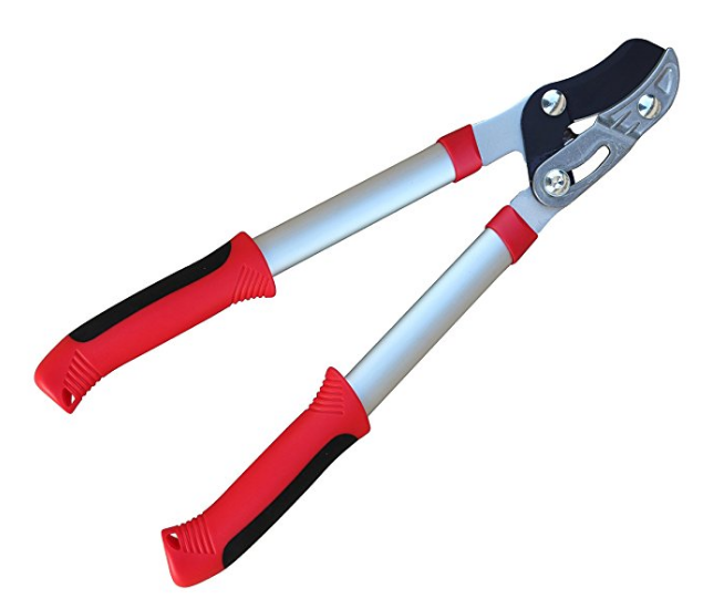 8 Best Anvil Lopper Essential tool for any home gardener Tool Box