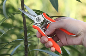 8 Best Micro Tip Pruning Shears – Have Healthier Plants And Happier Yards Without The Hassle