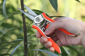 Best Micro Tip Pruning Shears