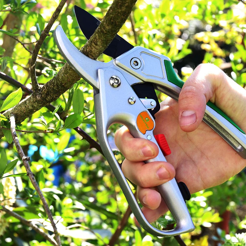 8 Best Micro Tip Pruning Shears Have Healthier Plants And Happier