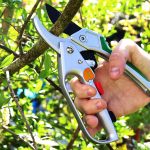 Best Ratchet Pruning Shears
