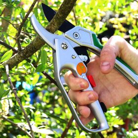 8 Best Ratchet Pruning Shears – Less Effort Required for Greater Cuts