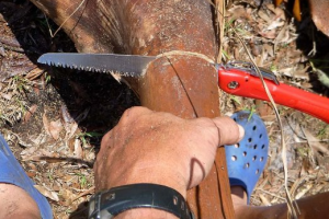 Folding Hand Saw - A perfect gardening tool for your pruning tasks
