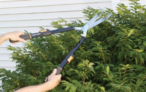 Hedge Shears - Get your trimming jobs done easier and faster