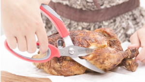 Poultry Shears - Make your cutting tasks easier