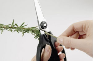 Take Apart Kitchen Shears - A tool you'll always want within reach