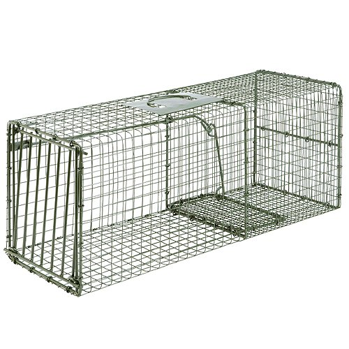 Duke Traps Heavy Duty Large Cage Trap