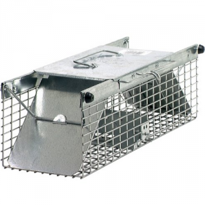 5 Best Rodent Trap Cage – Trap unwelcome animals without harm