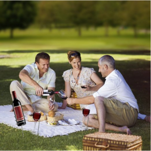 Wine Glass- Bottle Holder