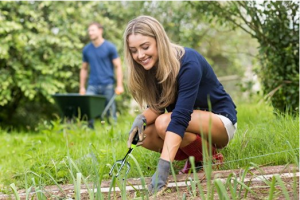 Garden Hand Trowel - A must have for any gardener