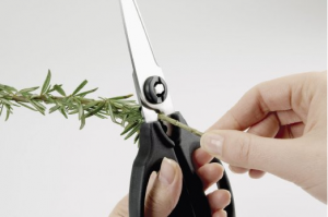 Take Apart Kitchen Shears - A tool you'll always want within reach