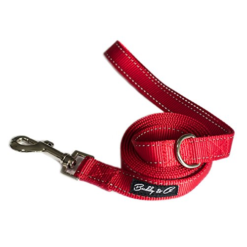 buddy-co-high-quality-nylon-dog-leash