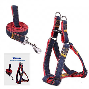 5 Best No Pull Dog Harness – Stop dogs from pulling