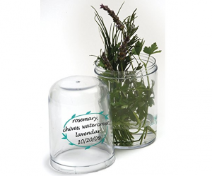 fresh-herb-keeper-reduce-waste-and-save-money